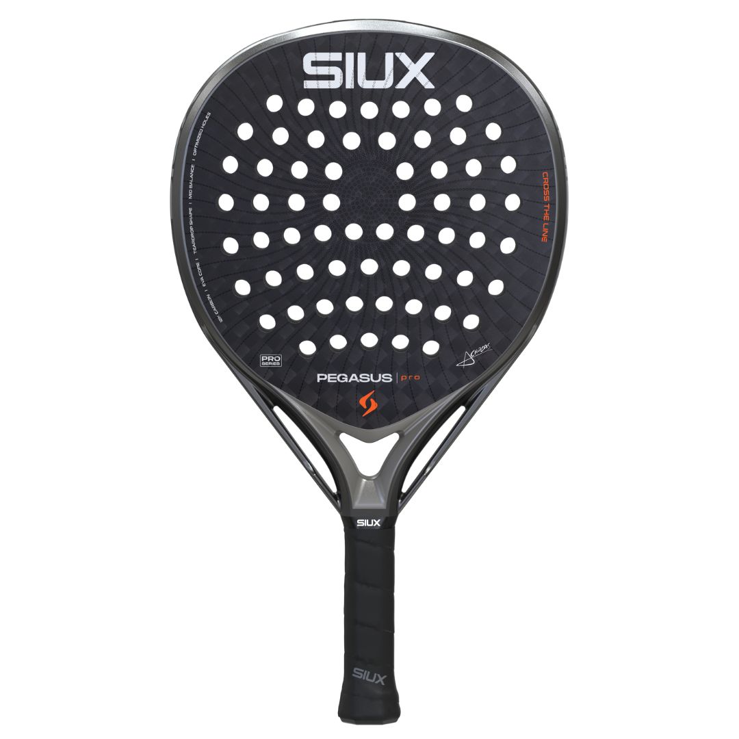 Siux Pegasus Pro 2026